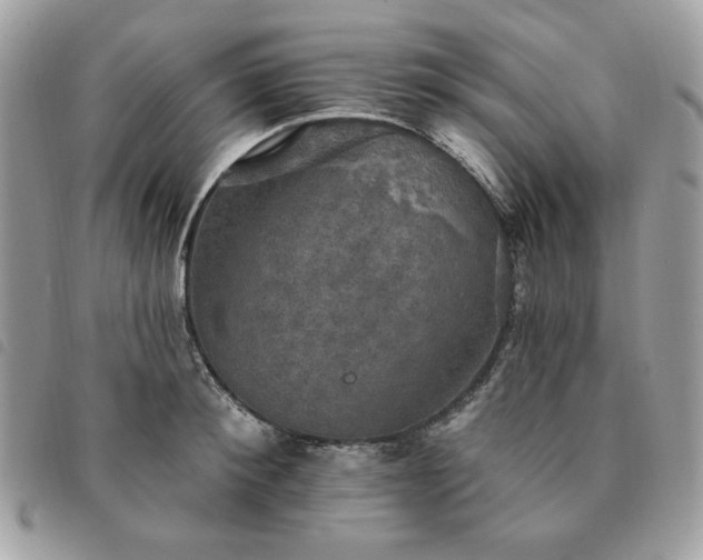 X0000091290900200708171342