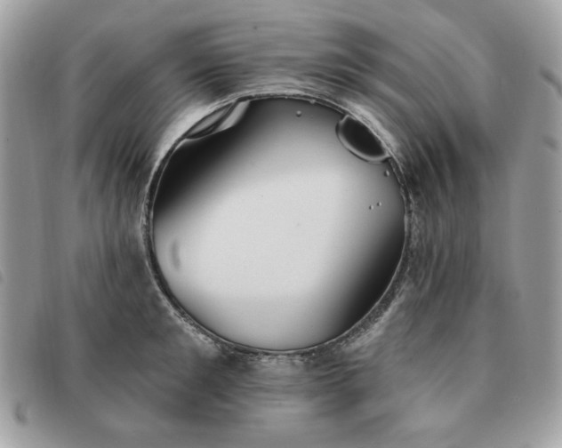 X0000091290901200708171342