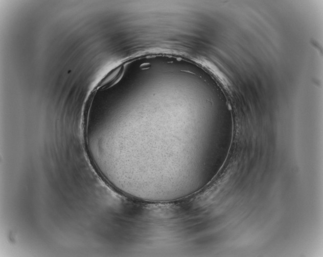 X0000091290902200708171342