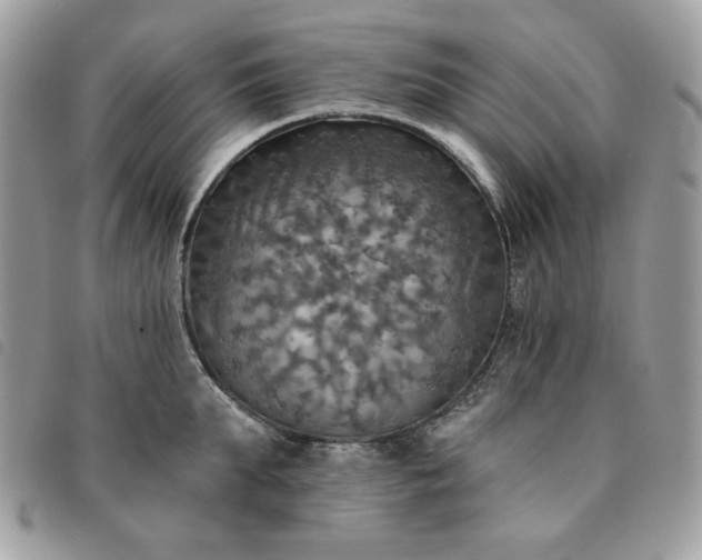 X0000091290903200708171342