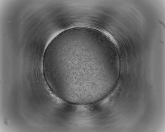 X0000091290904200708171342