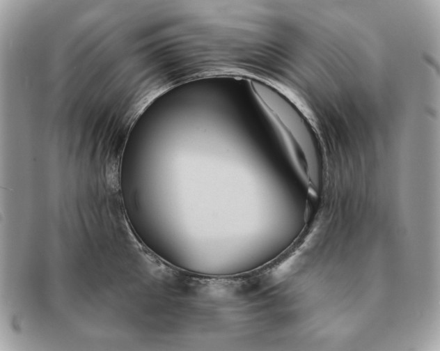 X0000091290905200708171342