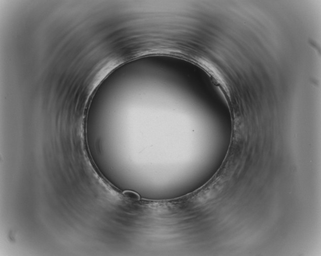 X0000091290906200708171342