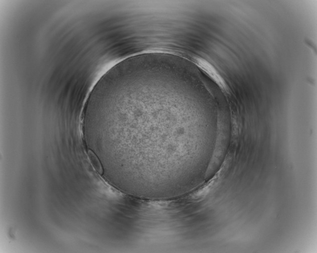 X0000091290908200708171342