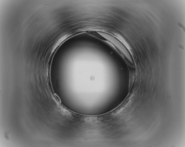 X0000091290909200708171342