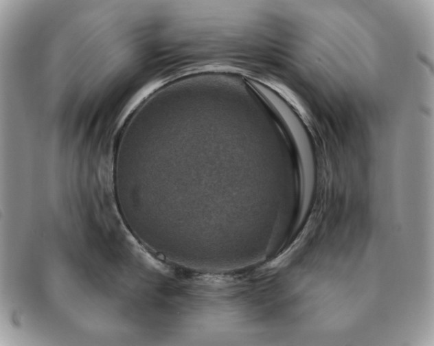 X0000091290910200708171342