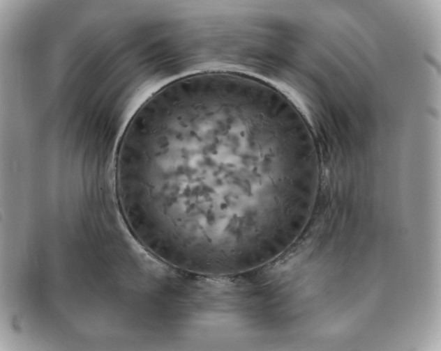 X0000091290911200708171342