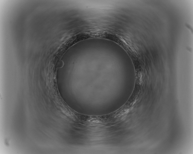 X0000091290913200708171341