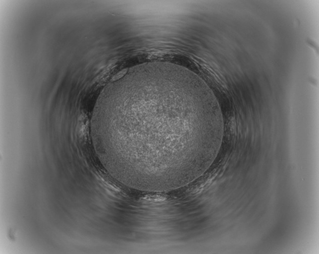 X0000091290914200708171341