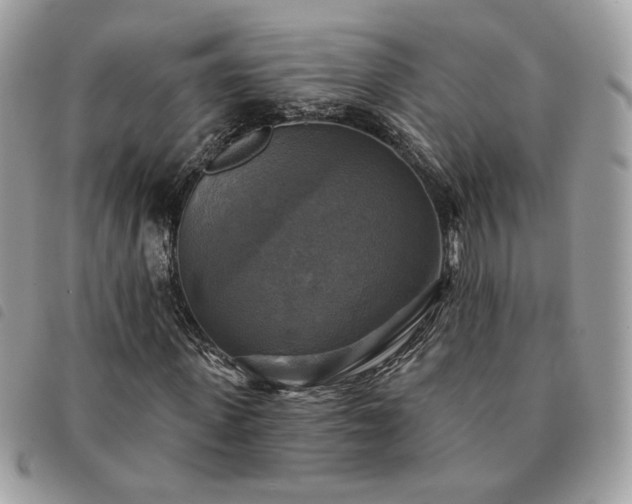 X0000091290915200708171341