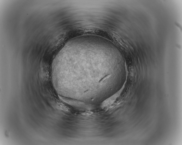 X0000091290916200708171341