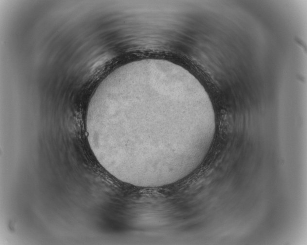 X0000091290918200708171341