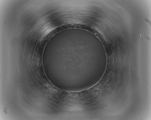 X0000091290919200708171341