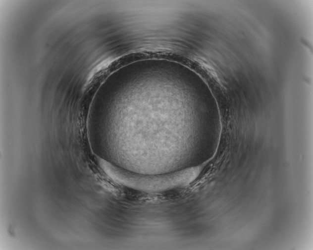 X0000091290920200708171341