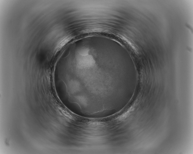 X0000091290921200708171341