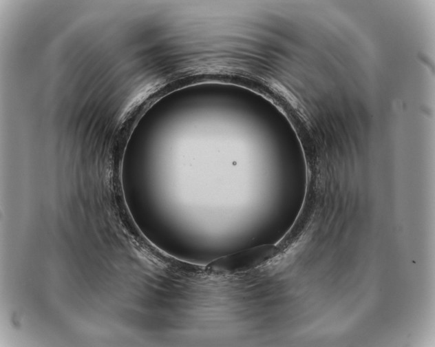 X0000091290922200708171341