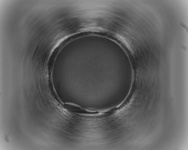 X0000091290923200708171341