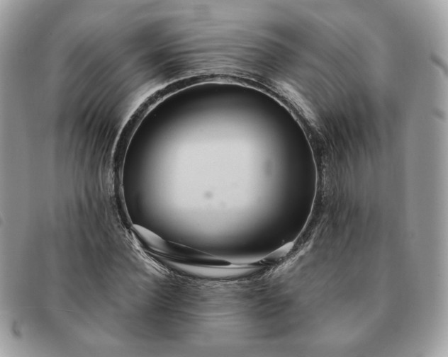 X0000091290924200708171341