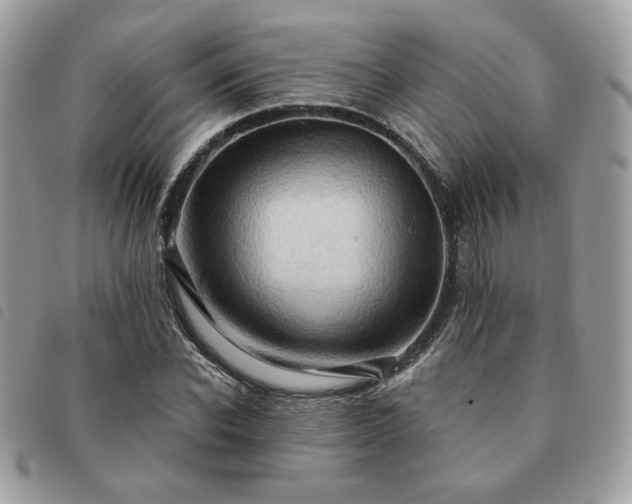 X0000091290926200708171341