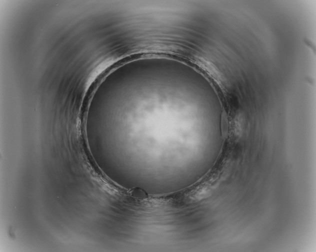 X0000091290928200708171341