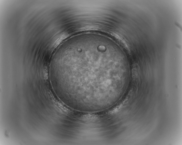 X0000091290929200708171341