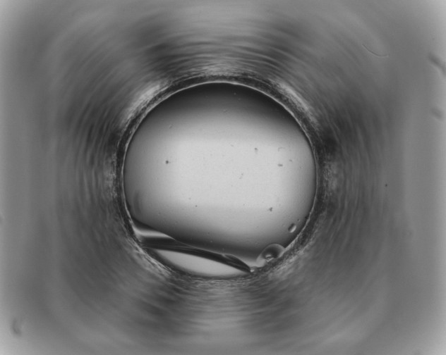 X0000091290930200708171341