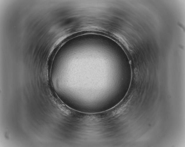 X0000091290931200708171341