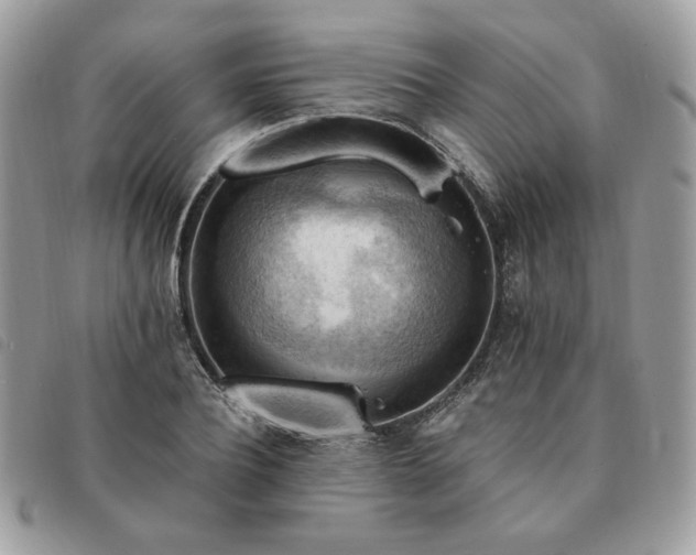 X0000091290932200708171342