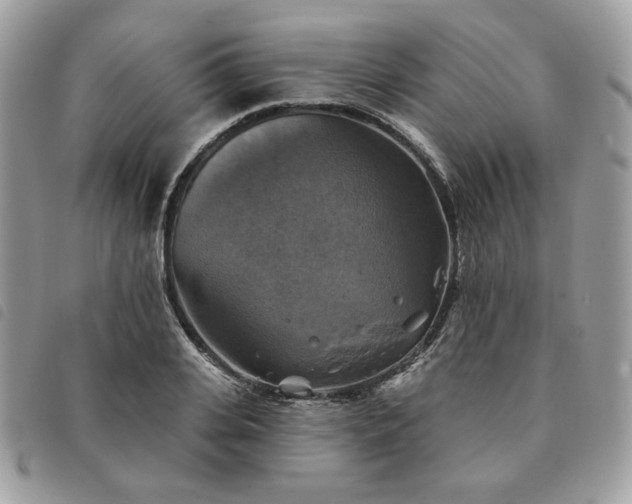 X0000091290935200708171342