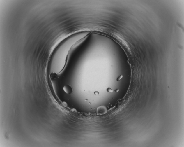 X0000091290936200708171342