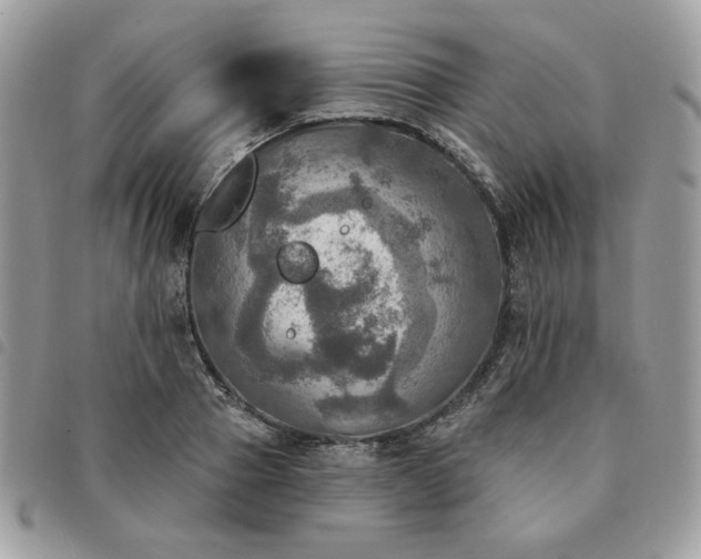 X0000091290937200708171342