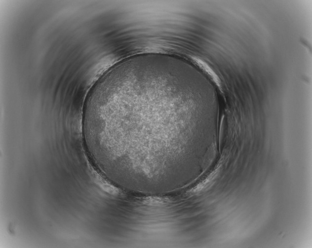 X0000091290938200708171342