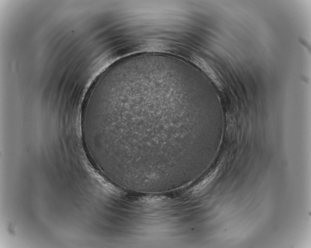 X0000091290939200708171342