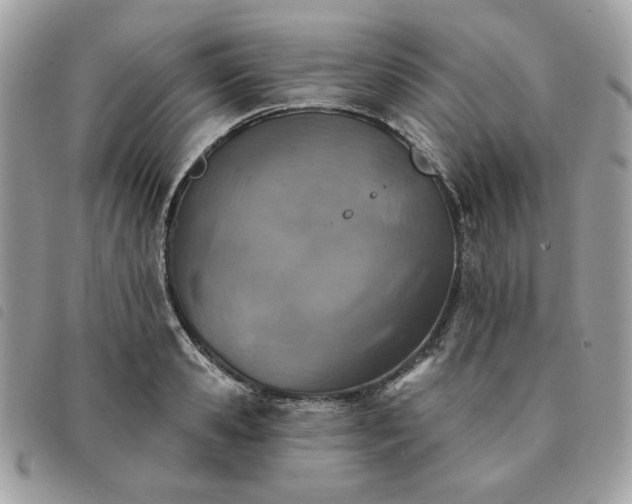 X0000091290941200708171342