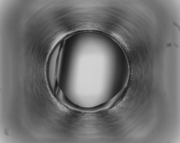 X0000091290942200708171342