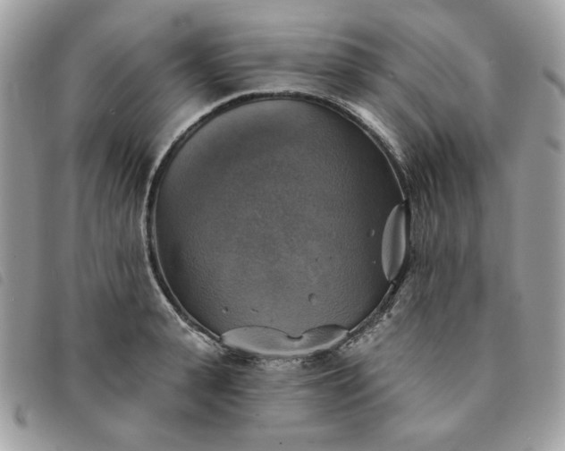 X0000091290943200708171342