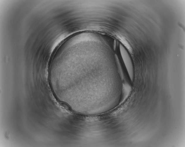 X0000091290944200708171342