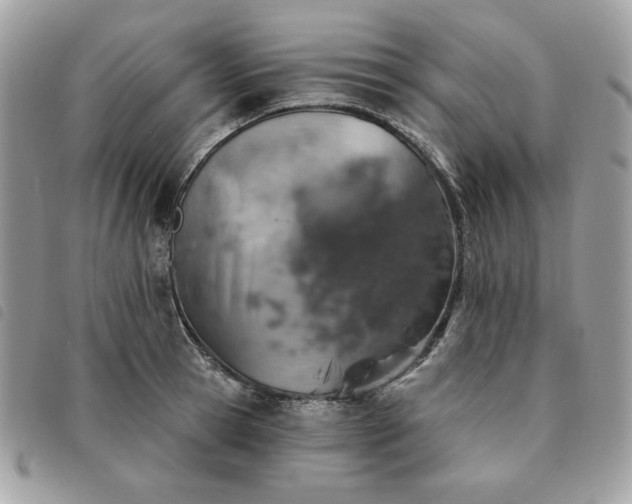 X0000091290945200708171342