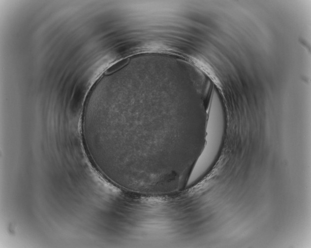 X0000091290946200708171342