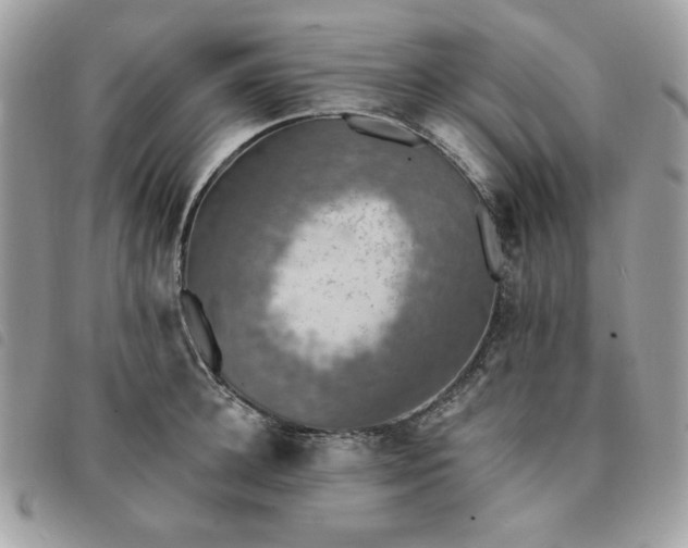 X0000091290948200708171342