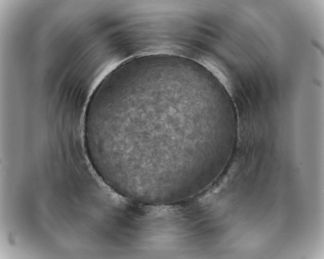 X0000091290949200708171342