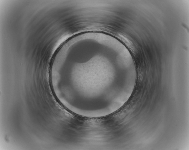 X0000091290950200708171342