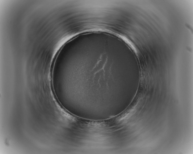 X0000091290951200708171342