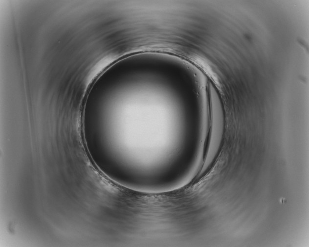 X0000091290952200708171342