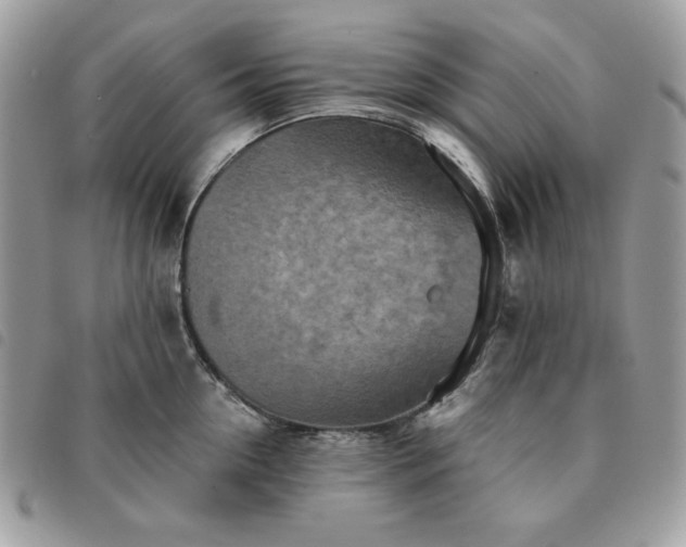 X0000091290954200708171342