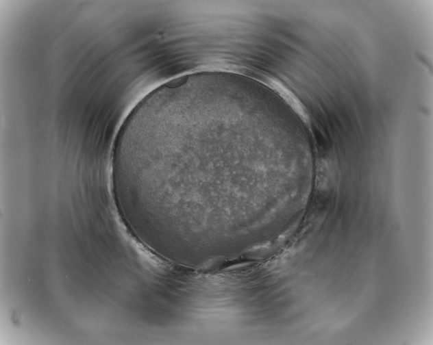 X0000091290955200708171342