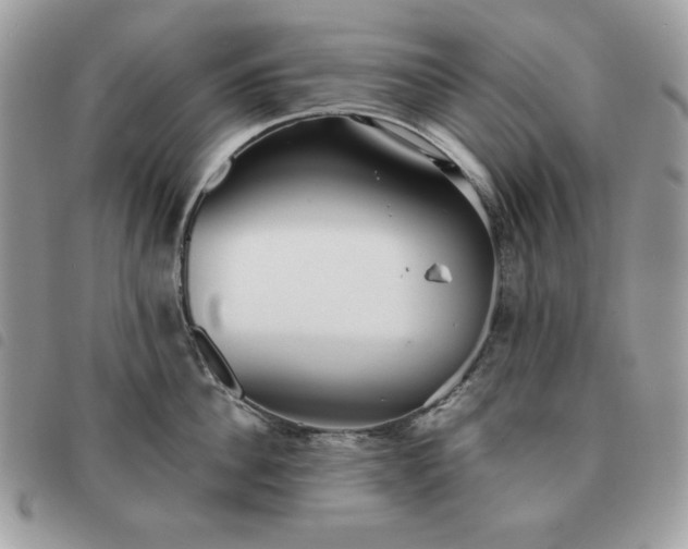 X0000091290956200708171342