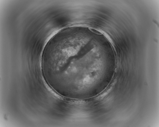 X0000091290957200708171342