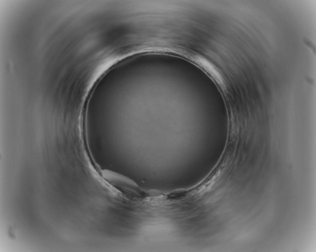 X0000091290958200708171342