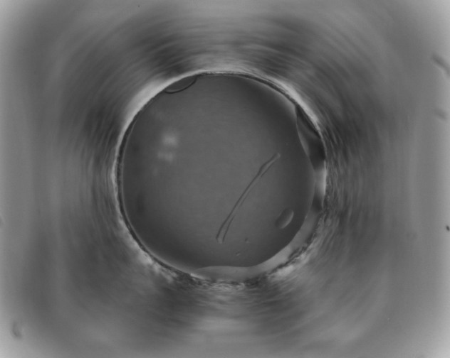 X0000091290959200708171342